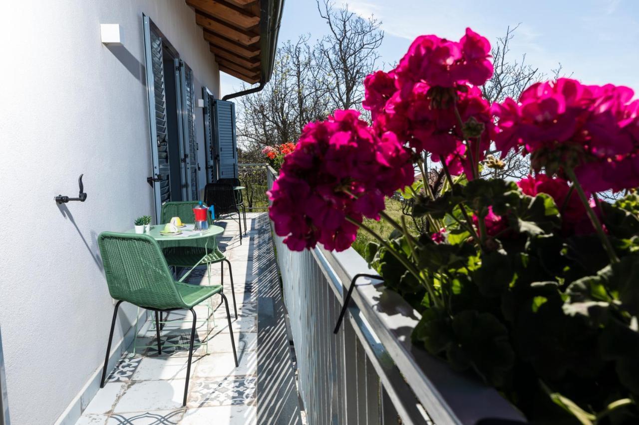 Bed and Breakfast Plein Sud Agerola San Lazzaro di Agerola Екстер'єр фото